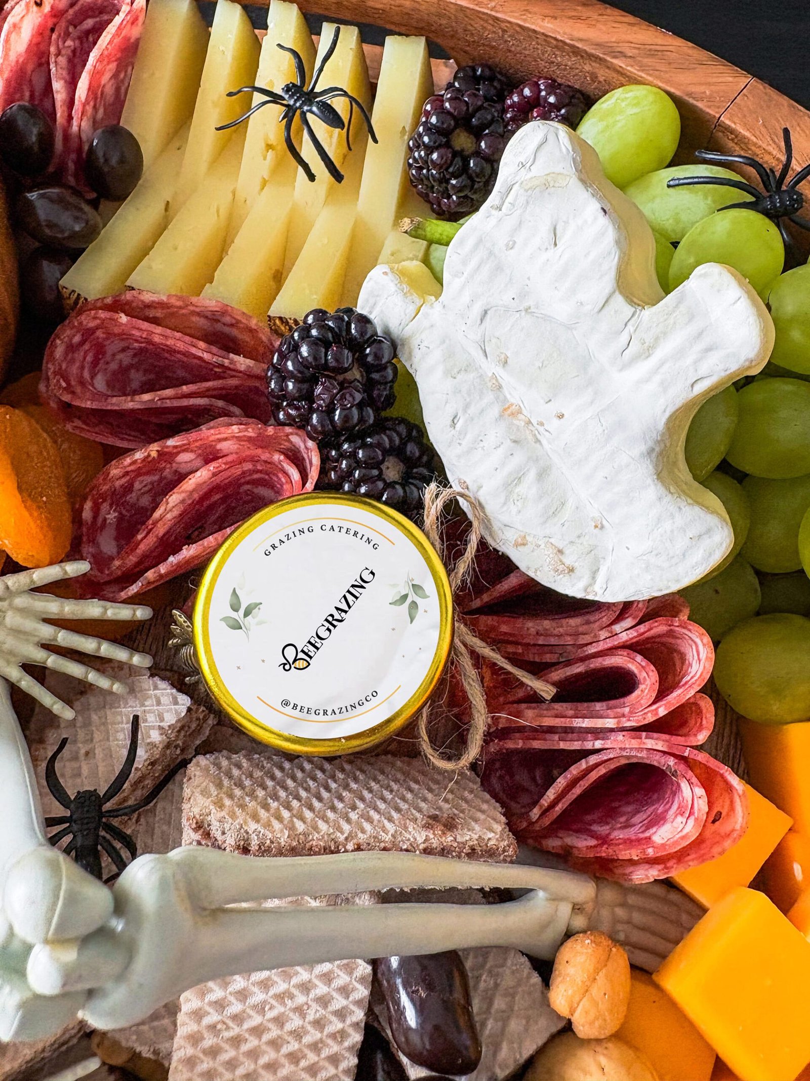 IMG_8946-scaled-1.jpg IMG_8946-scaled-1.jpg